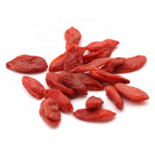 TianYu Health products wholesale Whole Oval Shape organic goji berries red goji berry dried fruit price